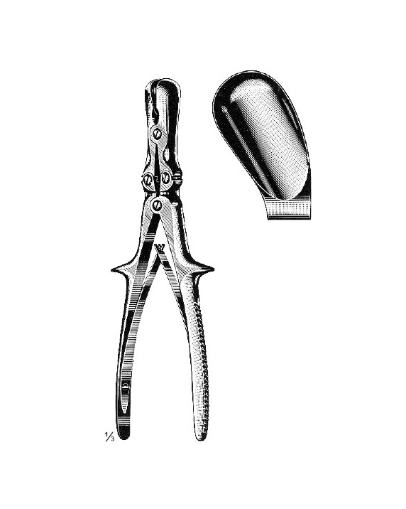 <span>Stille-Luer</span>