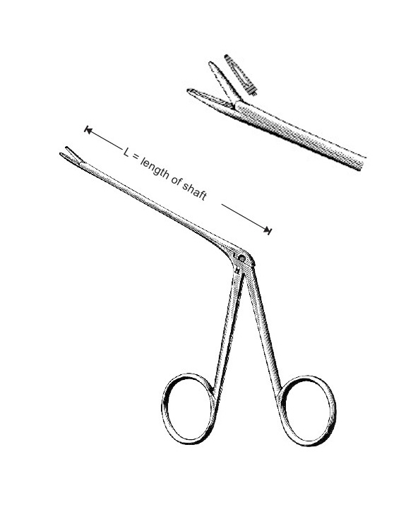<span>Hartmann</span>