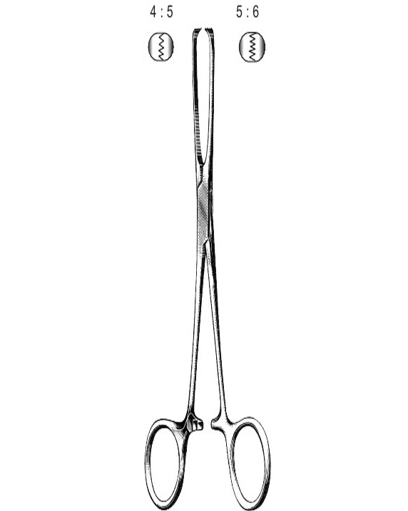 <span>Allis</span>