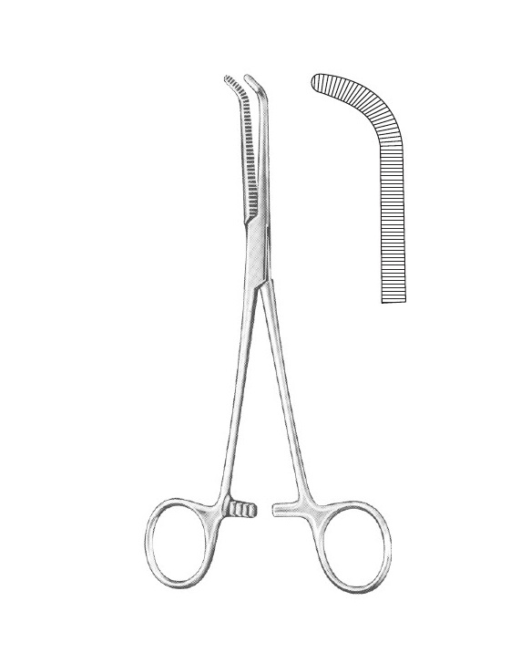 <span>Mixter</span>