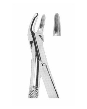 <span>Upper Teeth </span>