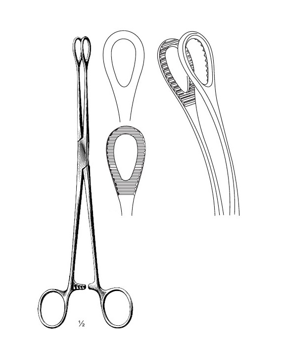 <span>Foerster</span>