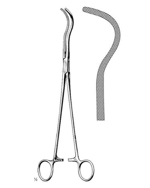 <span>Harken</span>