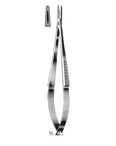 <span>Paton</span>