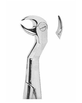 <span>Lower Third Molars Right </span>