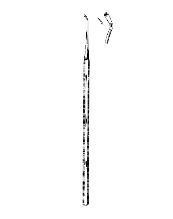 <span>Lempert</span>