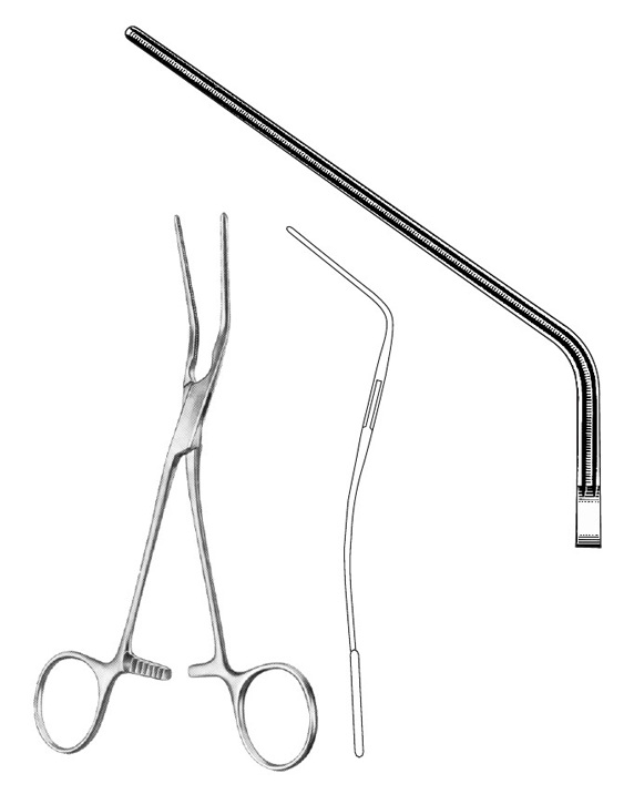 <span>Blood Vessel Forceps </span>