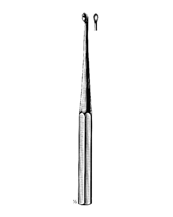 <span>Bruns</span>