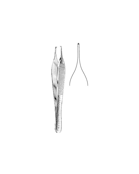 <span>Adson  1:2</span>