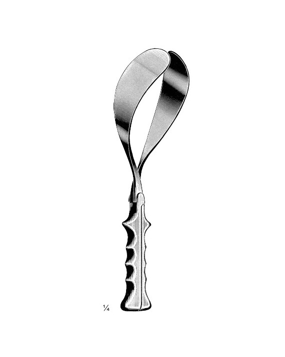 <span>Mc Lean</span>