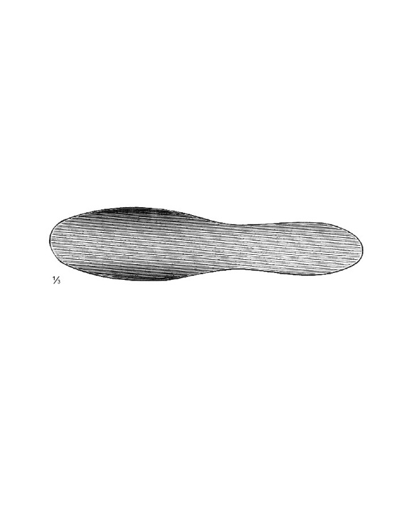 <span>Reverdin</span>
