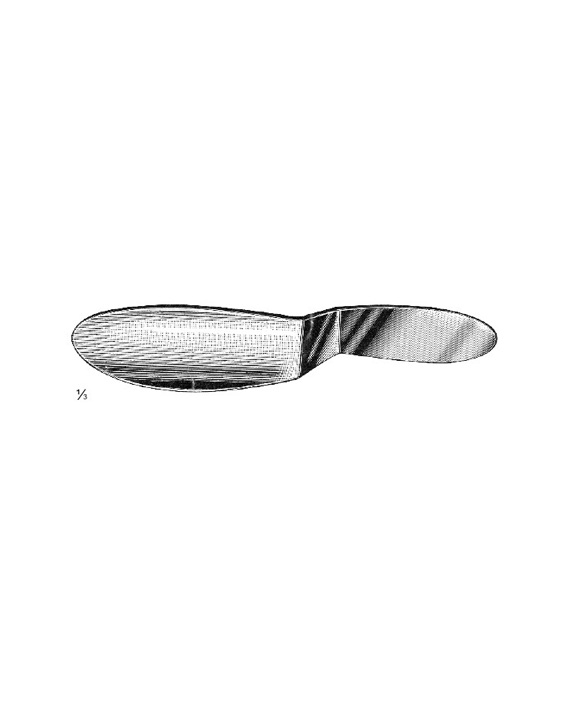 <span>Reverdin</span>