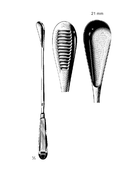 <span>Cuzzi</span>