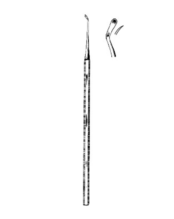 <span>Lempert</span>