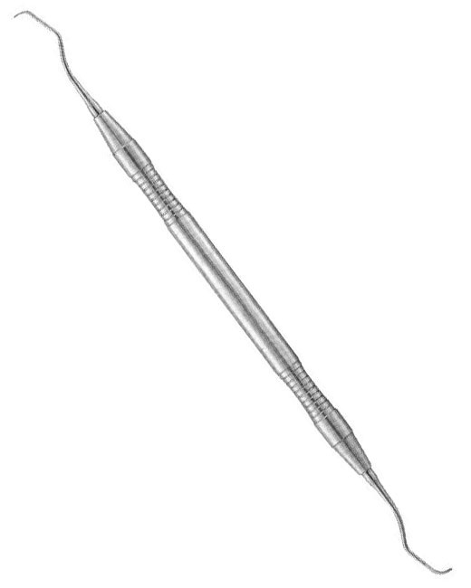 <span>Gracey  </span>