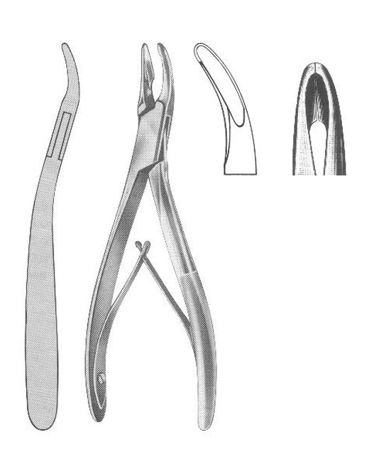 <span>Schell</span>