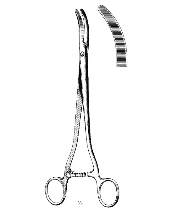 <span>Segond</span>