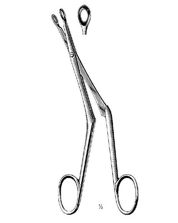 <span>Bruenings</span>