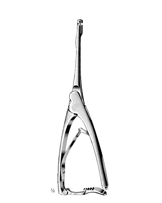 <span>Hagedorn</span>
