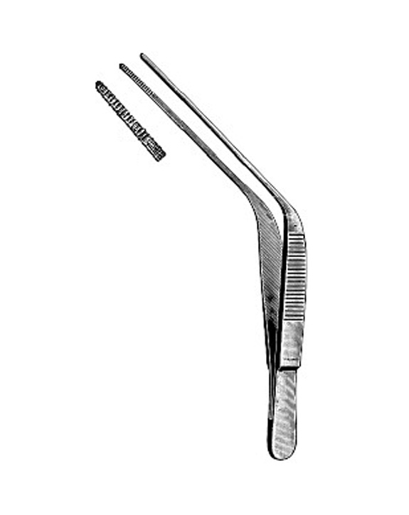 <span>Troeltsch (Wilde)</span>