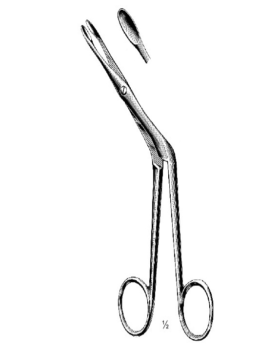 <span>Heymann</span>
