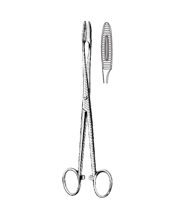 <span>Gross-Maier</span>