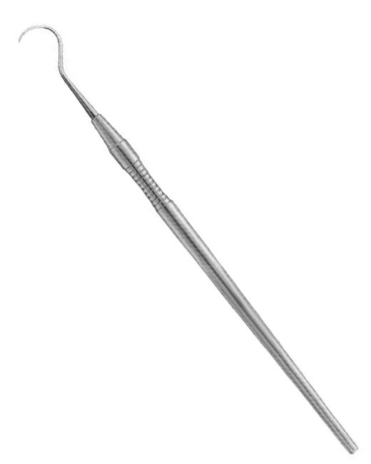 <span>Towner</span>