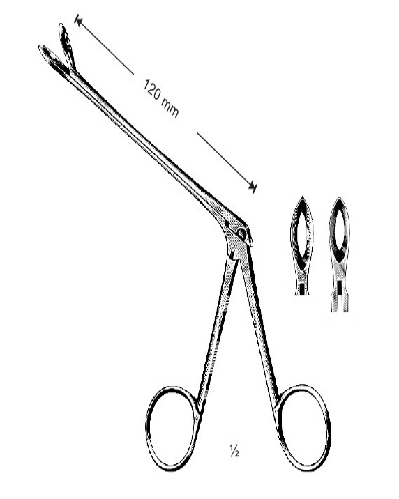 <span>Weil-Blakesley</span>