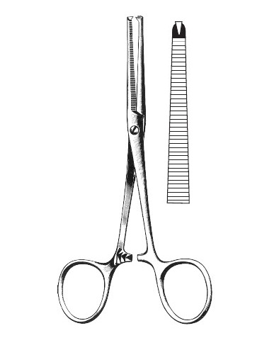 <span>Kocher</span>