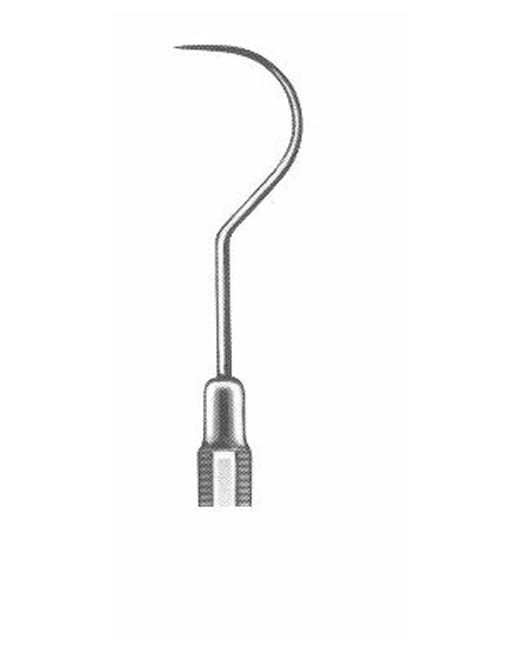 <span>Dental Probes</span>