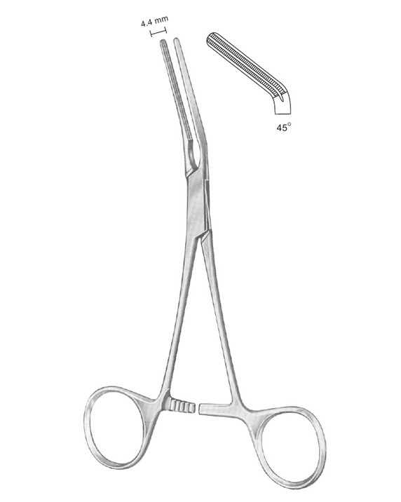 <span>Dardik</span>