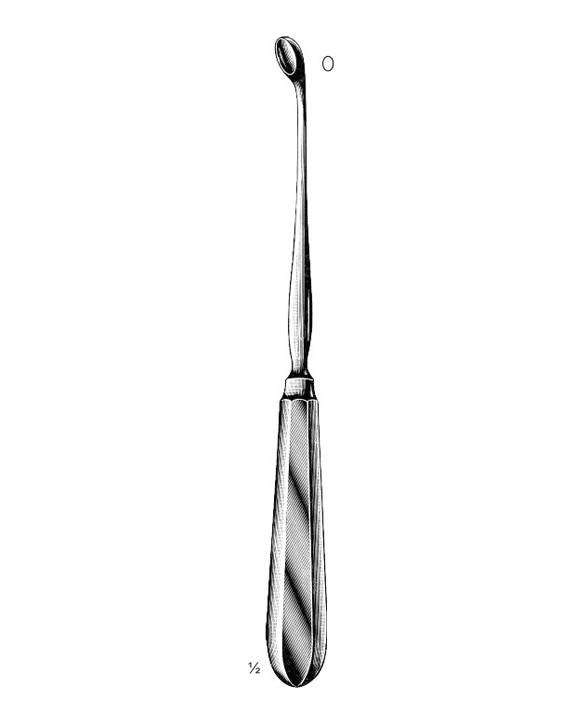 <span>Simon</span>