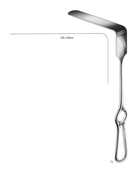 <span>Brunner</span>