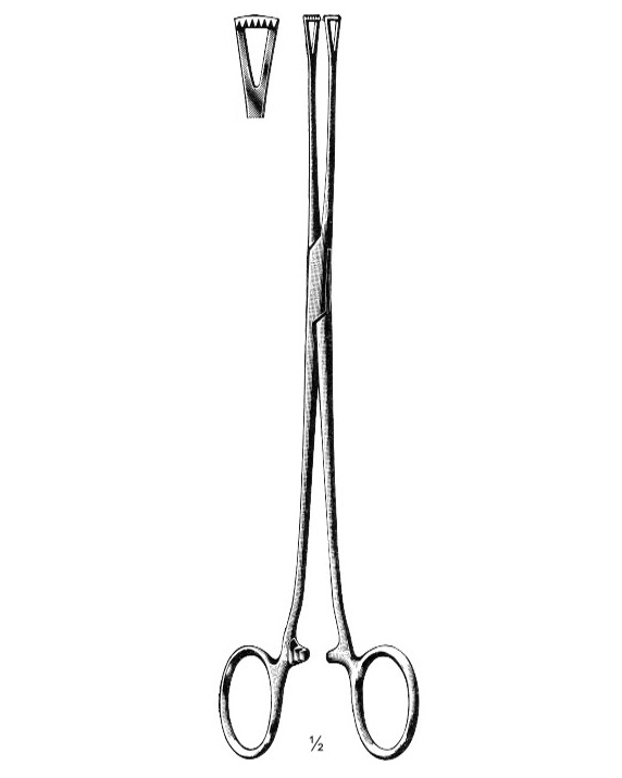 <span>Lockwood</span>