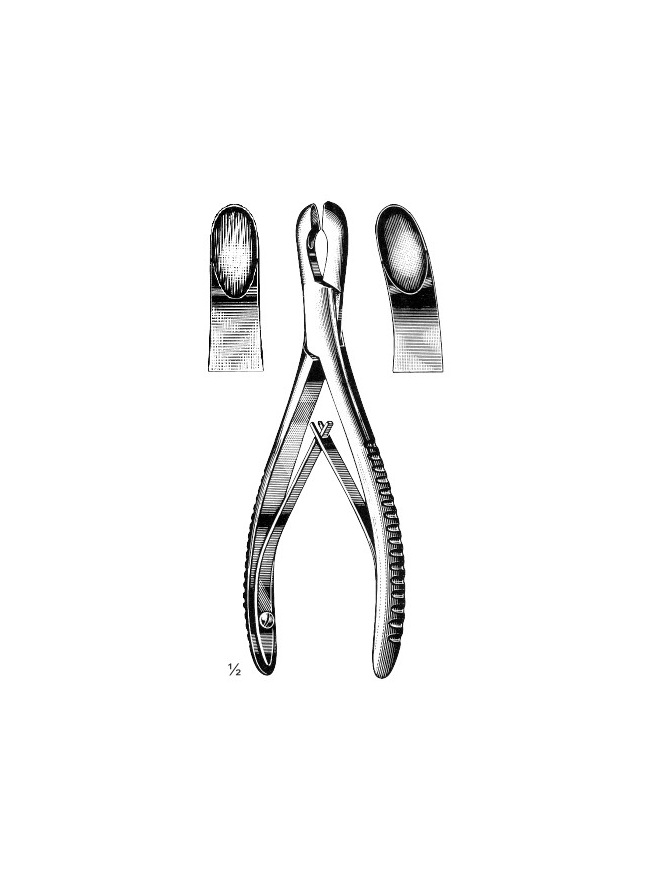 <span>Luer</span>