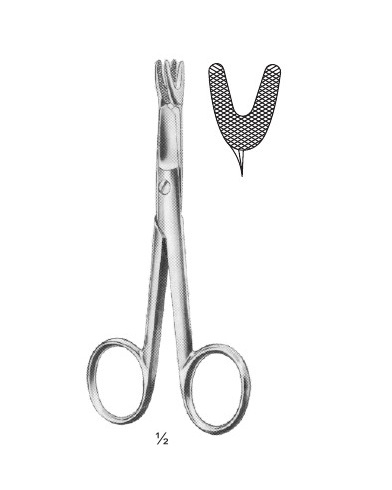 <span>Schoemaker-Loth</span>