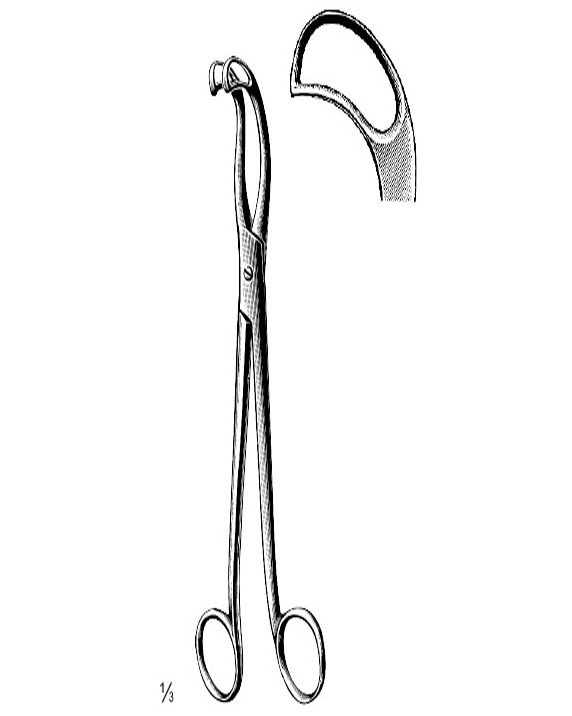 <span>Jurasz </span>