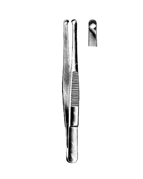 <span>Durante</span>
