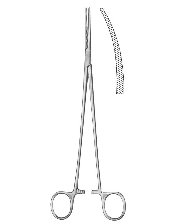<span>Bengolea</span>