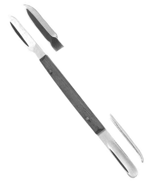 <span>Lessmann</span>