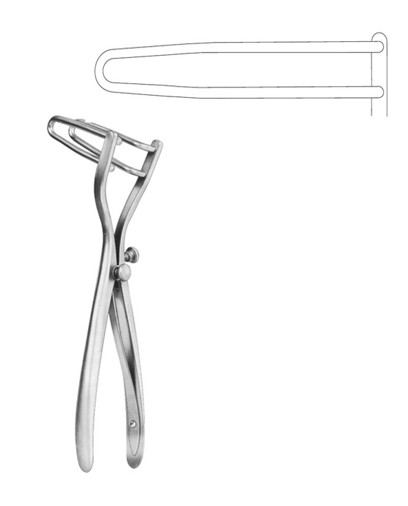 <span>Schulze-Bergmann</span>