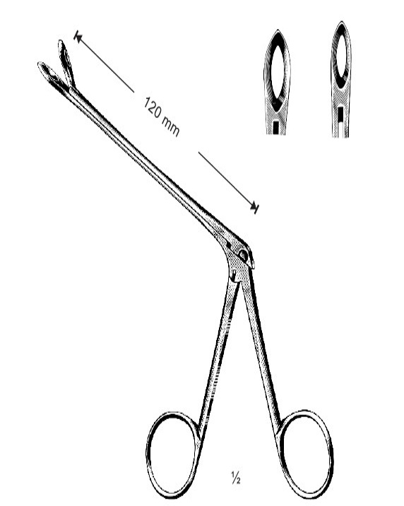 <span>Weil-Blakesley</span>