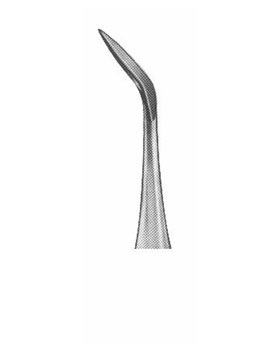 <span>Cryer </span>