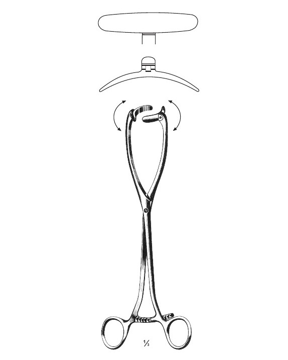 <span>Collin</span>