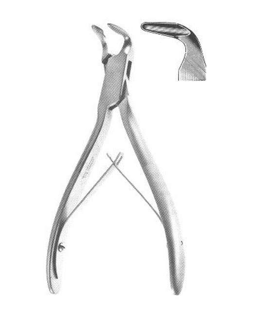 <span>Blumenthal </span>