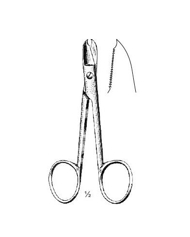 <span>Schoemaker-Loth</span>