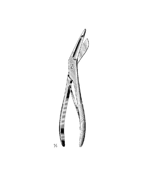 <span>Seutin</span>
