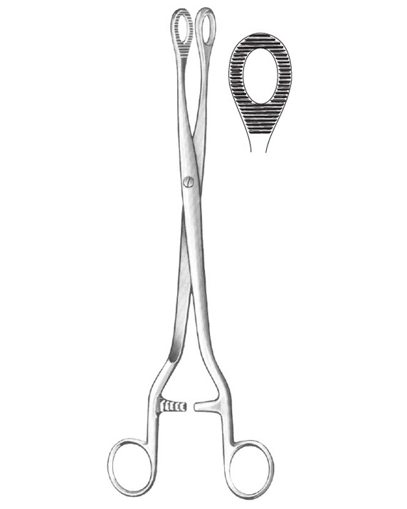 <span>Noto</span>