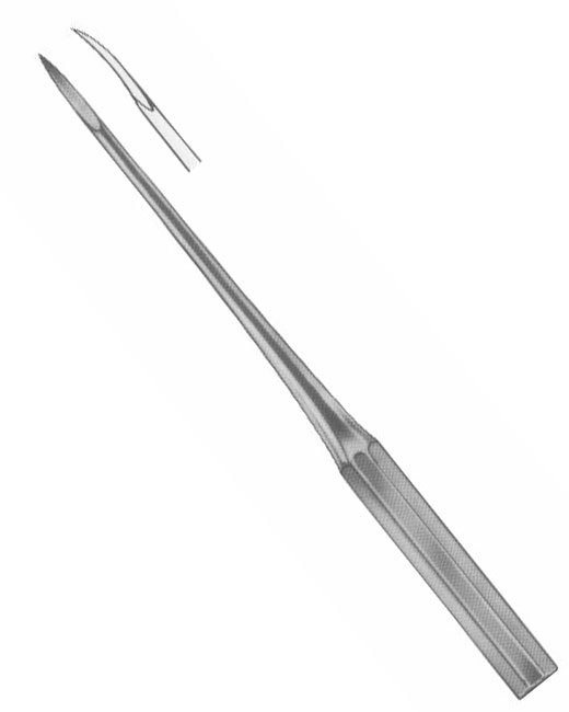 <span>Roots Elevators </span>
