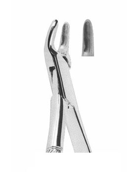 <span>Upper Incisors,Premolars Roots </span>